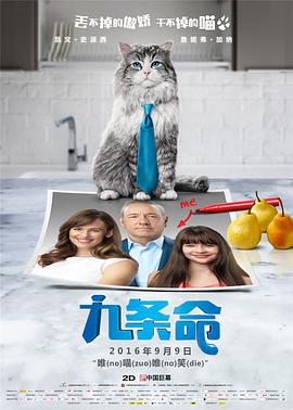 欧美福利视频一区二区