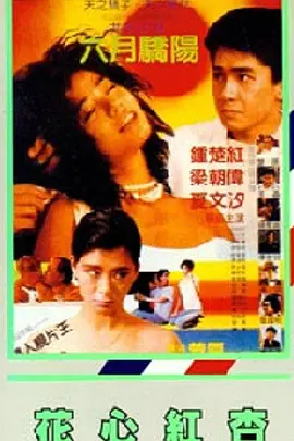 gayxxx视频