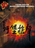 久久99国产精品久久