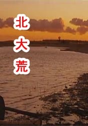 全国最大色成免费网站