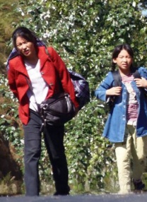 浮力50826最新发地布的地