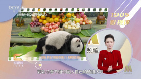 独特的自卫解决方法